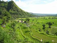 trip_bali 415 